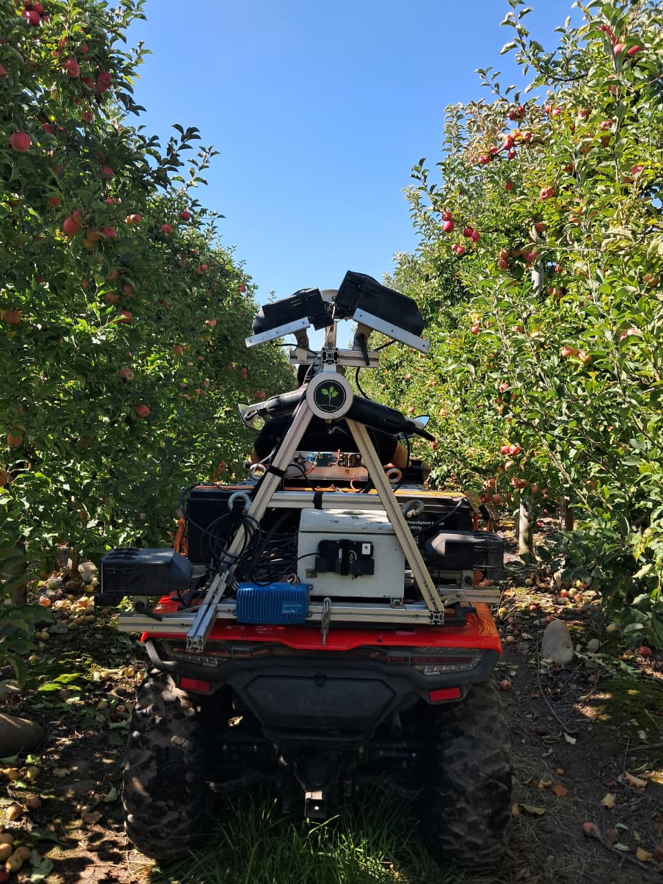 Green Atlas Cartographer in almond orchard