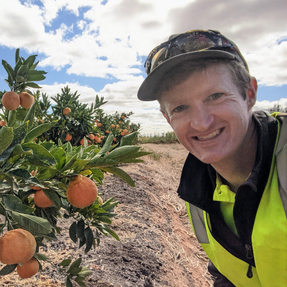 Service provider team